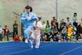 050_taichi130630
